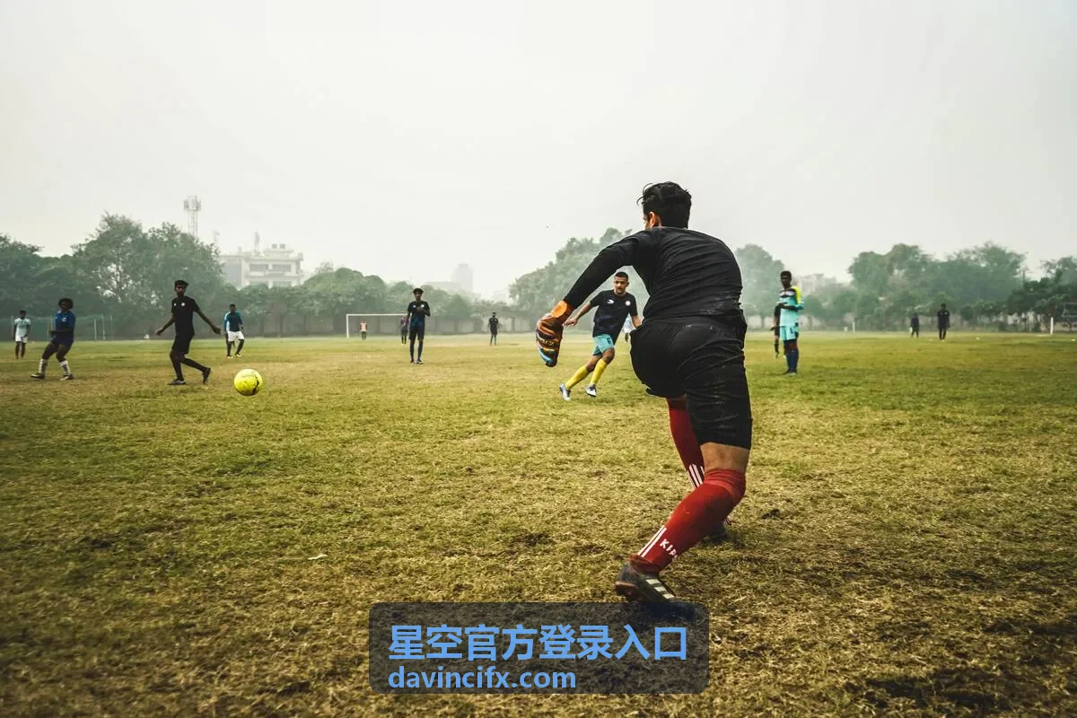 星空官方登录入口登录流程操作界面示意