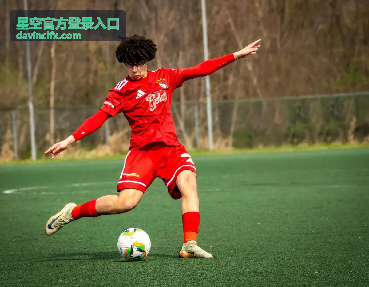 星空官方登录入口登录记录与设备自查页面示意